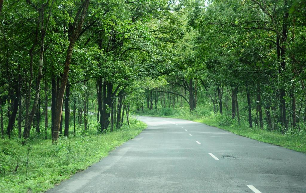 Marg Stream Valley Vythiri Exterior foto