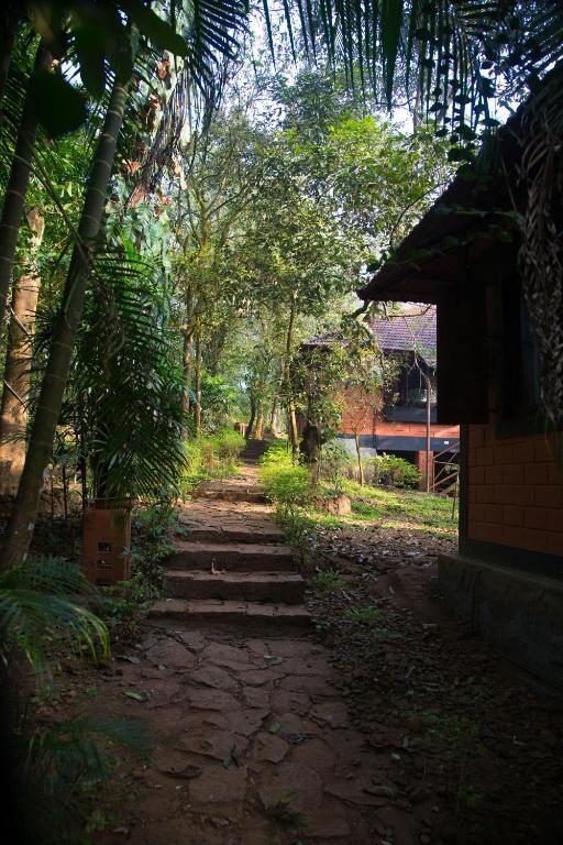 Marg Stream Valley Vythiri Exterior foto