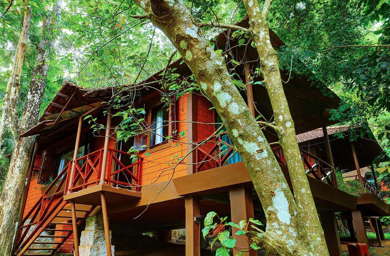 Marg Stream Valley Vythiri Exterior foto